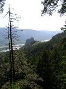 4.30.06 Hamilton Mountain 031 